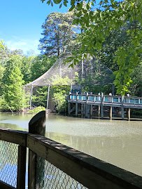 Virginia Living Museum photo 4