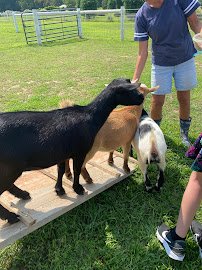 Barnyard Besties photo 2