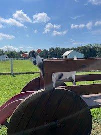 Barnyard Besties photo 6