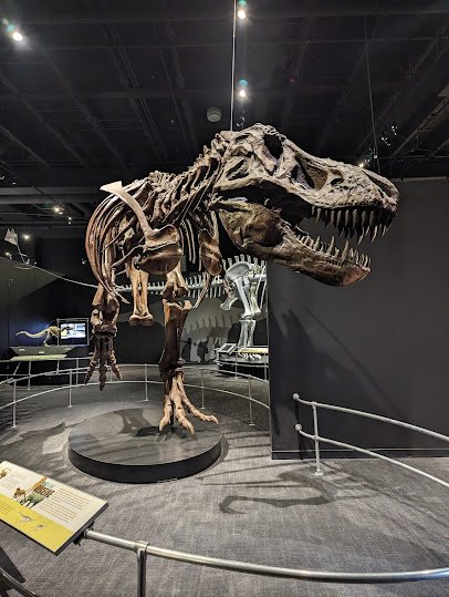 American Museum of Natural History Dinosaur Gallery