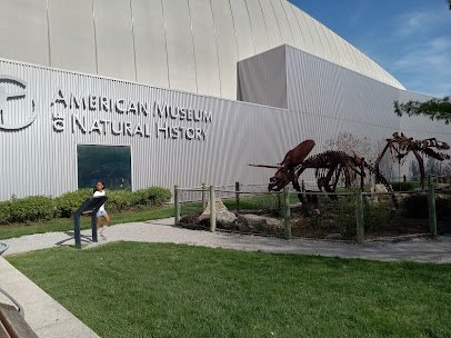 American Museum of Natural History Dinosaur Gallery photo 3
