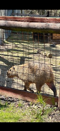 Tigers For Tomorrow Wild Animal Preserve, Inc. photo 6