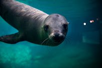 Point Defiance Zoo & Aquarium