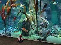 Point Defiance Zoo & Aquarium photo 3