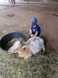 KidZooU photo 2