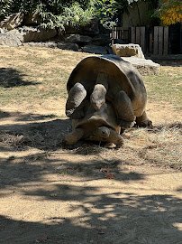 KidZooU photo 3