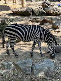 KidZooU photo 4