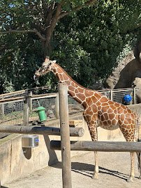 KidZooU photo 5