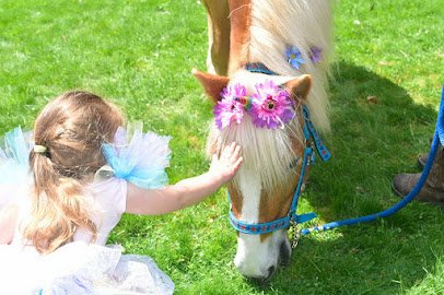 Blazing Saddles Pony Parties & Petting Zoo