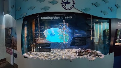 Florida Keys Eco-Discovery Center photo 4