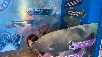 Florida Keys Eco-Discovery Center photo 6