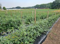 Abma's Farm Market, Greenhouse, and Barnyard Petting Zoo: Wyckoff, NJ photo 3
