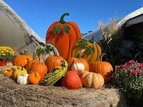 Abma's Farm Market, Greenhouse, and Barnyard Petting Zoo: Wyckoff, NJ photo 5