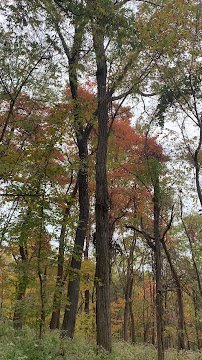 Louisville Nature Center photo 2