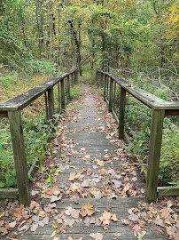 Louisville Nature Center photo 4
