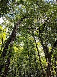 Louisville Nature Center photo 6