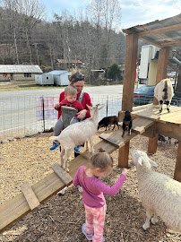 Tuckasegee Farm Animal Rescue & Petting Zoo