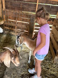 Tuckasegee Farm Animal Rescue & Petting Zoo photo 3