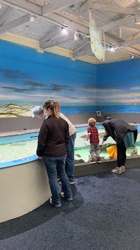 Marine Science Center photo 2