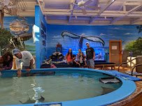 Marine Science Center photo 3