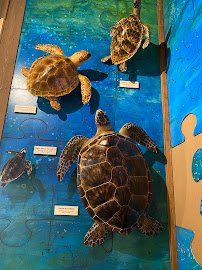 Marine Science Center photo 4
