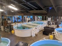 Marine Science Center photo 5