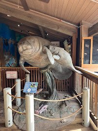 Marine Science Center photo 6