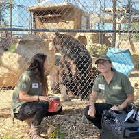 Heritage Park Zoological Sanctuary photo 4