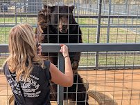 Sharkarosa Zoo photo 4