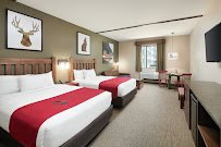 Great Wolf Lodge | Northern California photo 3