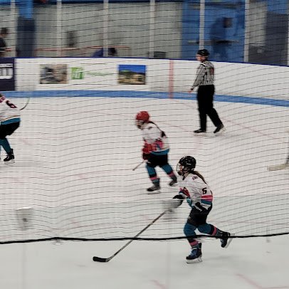 Boss Ice Arena photo 5
