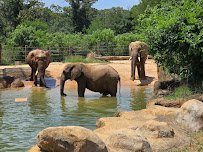 Caldwell Zoo photo 3