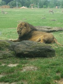 Caldwell Zoo photo 4