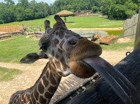 Caldwell Zoo photo 5