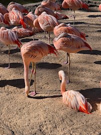 Caldwell Zoo photo 6