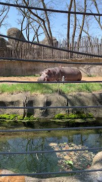 Hippoquarium photo 2