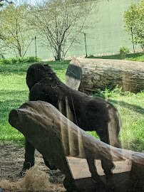 Hippoquarium photo 6