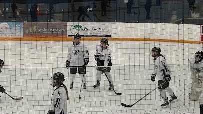 Hobbs Municipal Ice Center photo 5