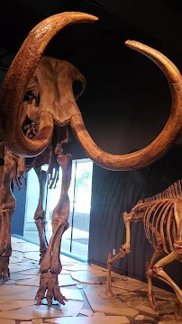Indiana State Museum photo 2