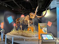 Indiana State Museum photo 5