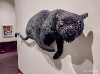 Montclair Art Museum photo 5