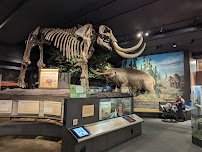 RMSC (Rochester Museum & Science Center) photo 3