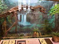 RMSC (Rochester Museum & Science Center) photo 5