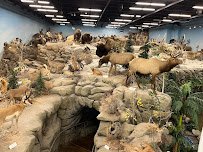 Rosenbruch World Wildlife Museum photo 3