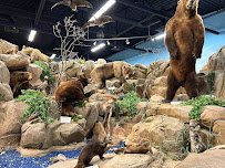 Rosenbruch World Wildlife Museum photo 4