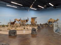 Rosenbruch World Wildlife Museum photo 5