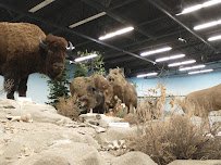 Rosenbruch World Wildlife Museum photo 6
