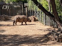 Fort Worth Zoo photo 6