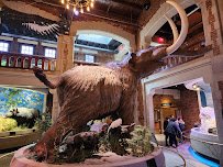 Toledo Museum Of Science