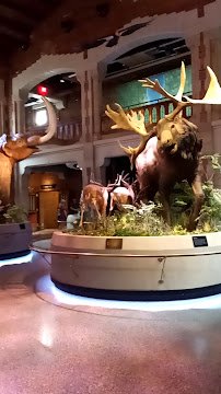 Toledo Museum Of Science photo 2